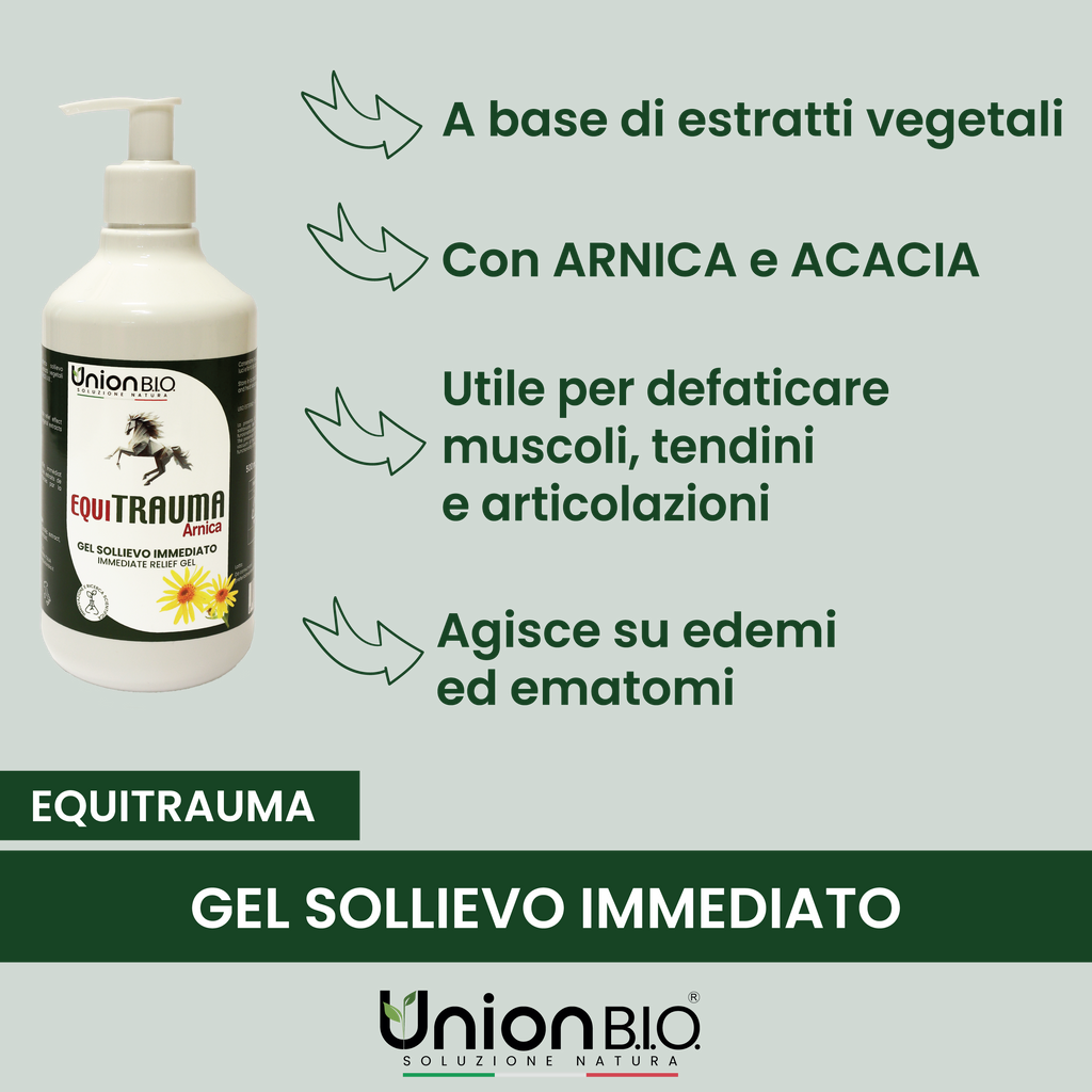 Equitrauma Gel Union Bio – Gel Naturale Urto per Traumi, Contusioni e Gonfiori del Cavallo | Disponibile da 250ml a 4 Litri