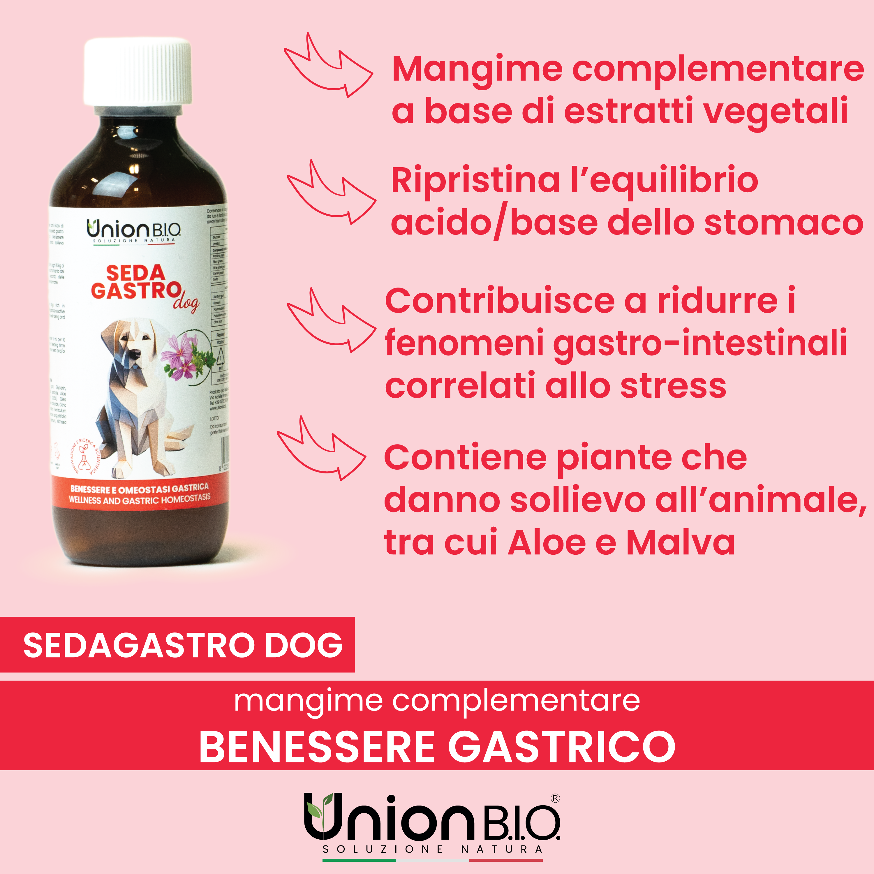 Sedagastro Union Bio – Protezione e Benessere Gastrico per Cani | Soluzione Naturale contro Gastrite, Reflusso e Acidità