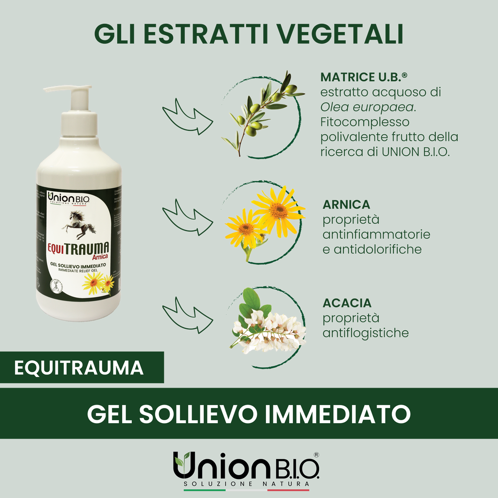Equitrauma Gel Union Bio – Gel Naturale Urto per Traumi, Contusioni e Gonfiori del Cavallo | Disponibile da 250ml a 4 Litri