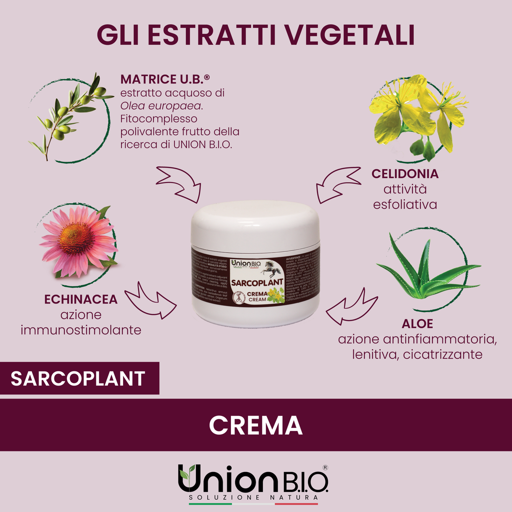 Sarcoplant Crema Union Bio – Trattamento Naturale Rigenerante e Normalizzante Cutaneo per Cavalli e Piccoli Animali