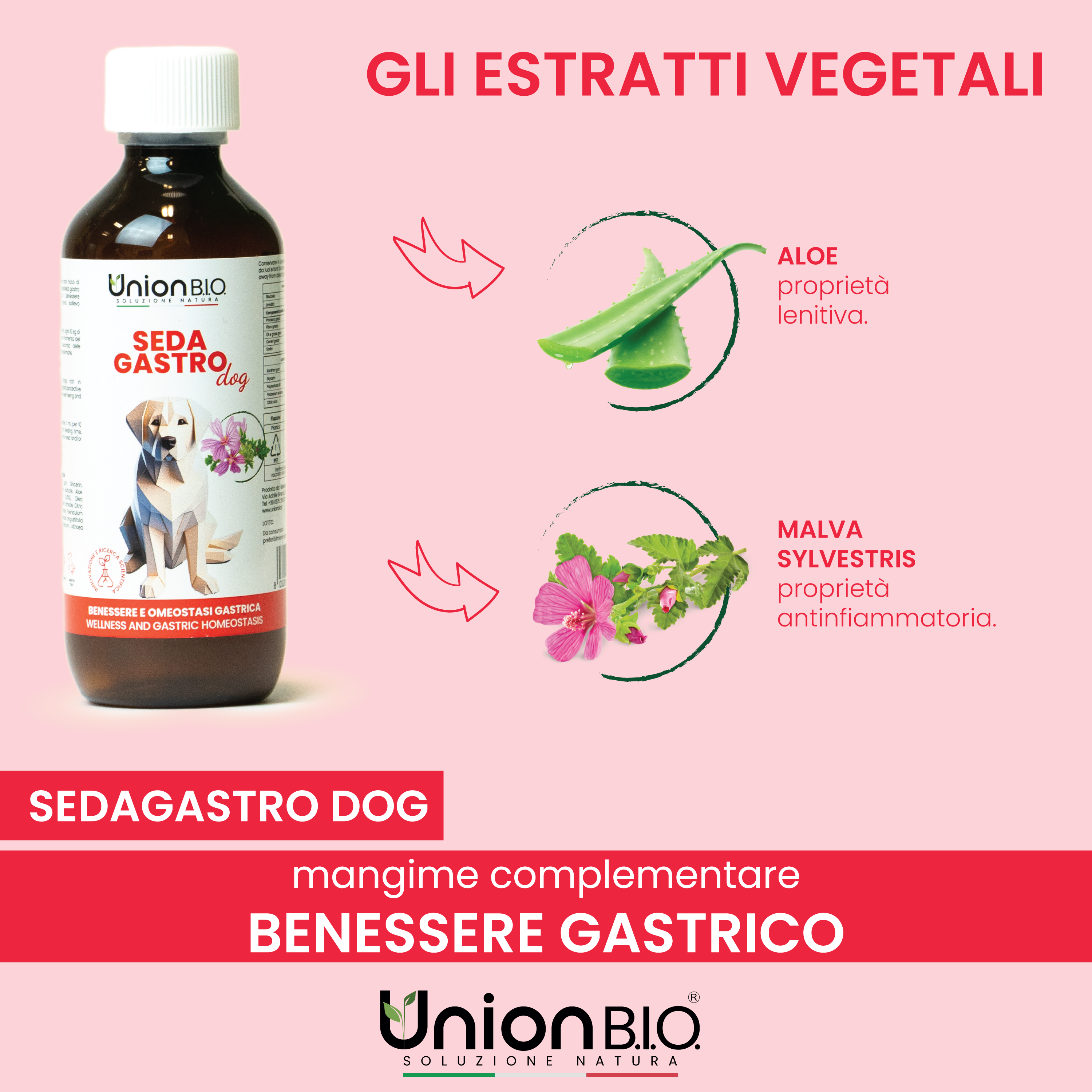 Sedagastro Union Bio – Protezione e Benessere Gastrico per Cani | Soluzione Naturale contro Gastrite, Reflusso e Acidità
