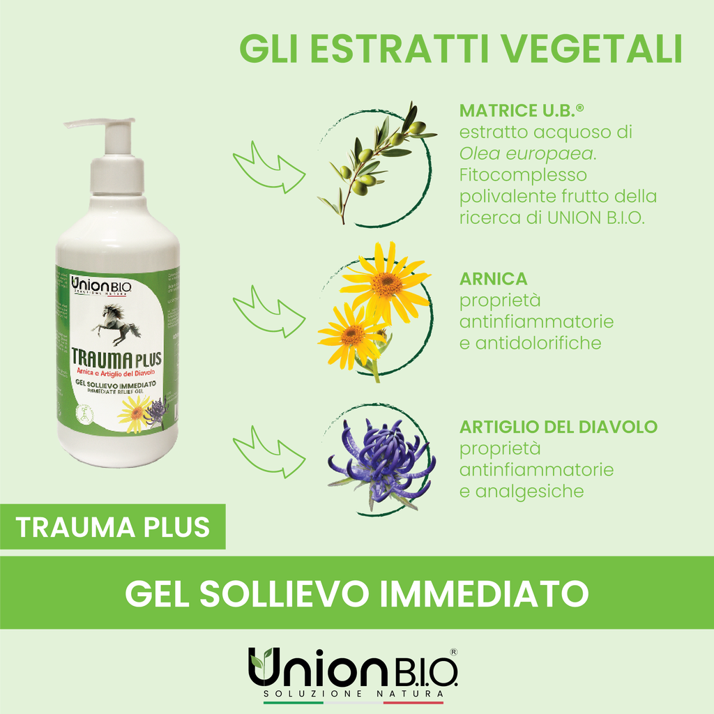 TraumaPlus Gel Union Bio – Gel Naturale ad Alta Concentrazione per Muscoli e Articolazioni (Cavalli e Cani) | Con Arnica e Artiglio del Diavolo