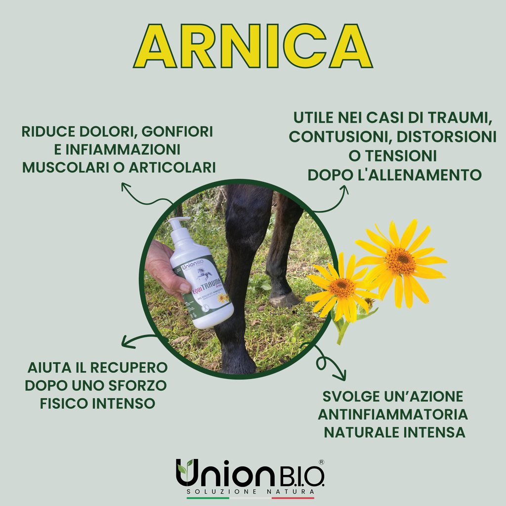 Equitrauma Gel Union Bio – Gel Naturale Urto per Traumi, Contusioni e Gonfiori del Cavallo | Disponibile da 250ml a 4 Litri