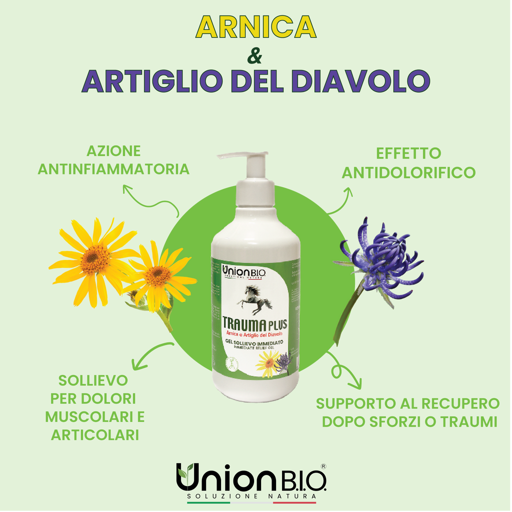 TraumaPlus Gel Union Bio – Gel Naturale ad Alta Concentrazione per Muscoli e Articolazioni (Cavalli e Cani) | Con Arnica e Artiglio del Diavolo