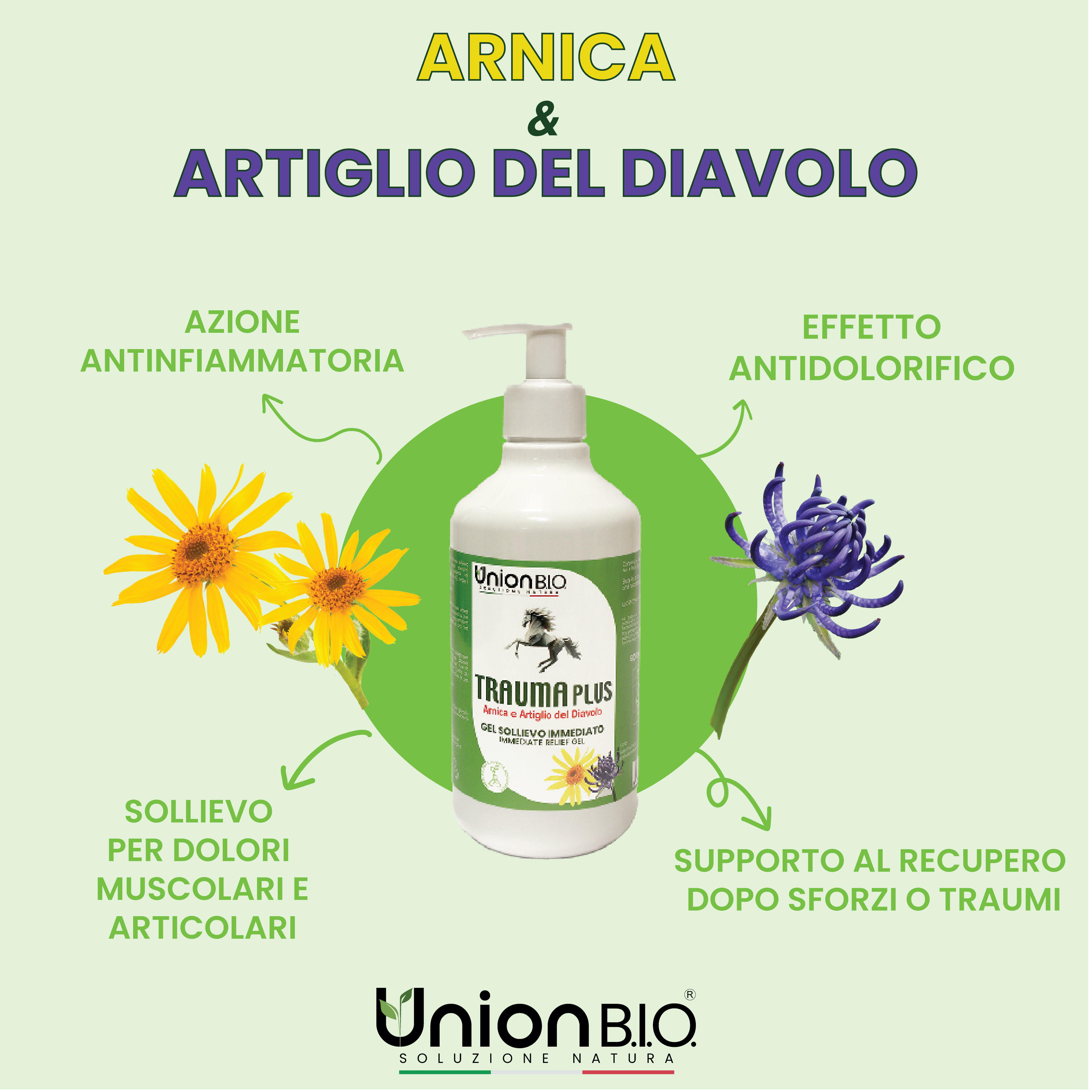 TraumaPlus Gel Union Bio – Gel Naturale ad Alta Concentrazione per Muscoli e Articolazioni (Cavalli e Cani) | Con Arnica e Artiglio del Diavolo