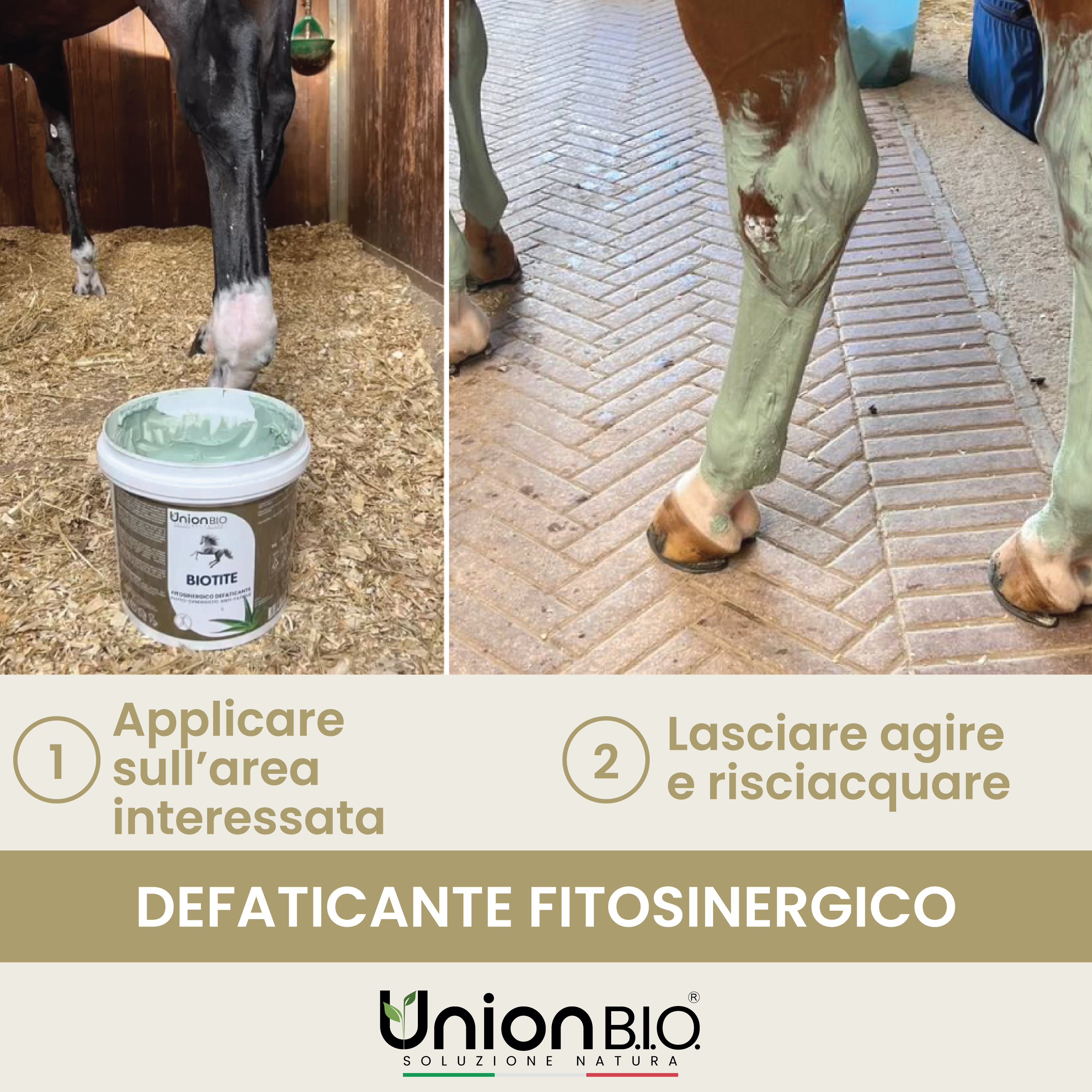 Biotite Union Bio – Trattamento Fitosinergico Antiflogistico e Calmante per Cavalli e Cani | Defatigante Intensivo per Muscoli e Tendini