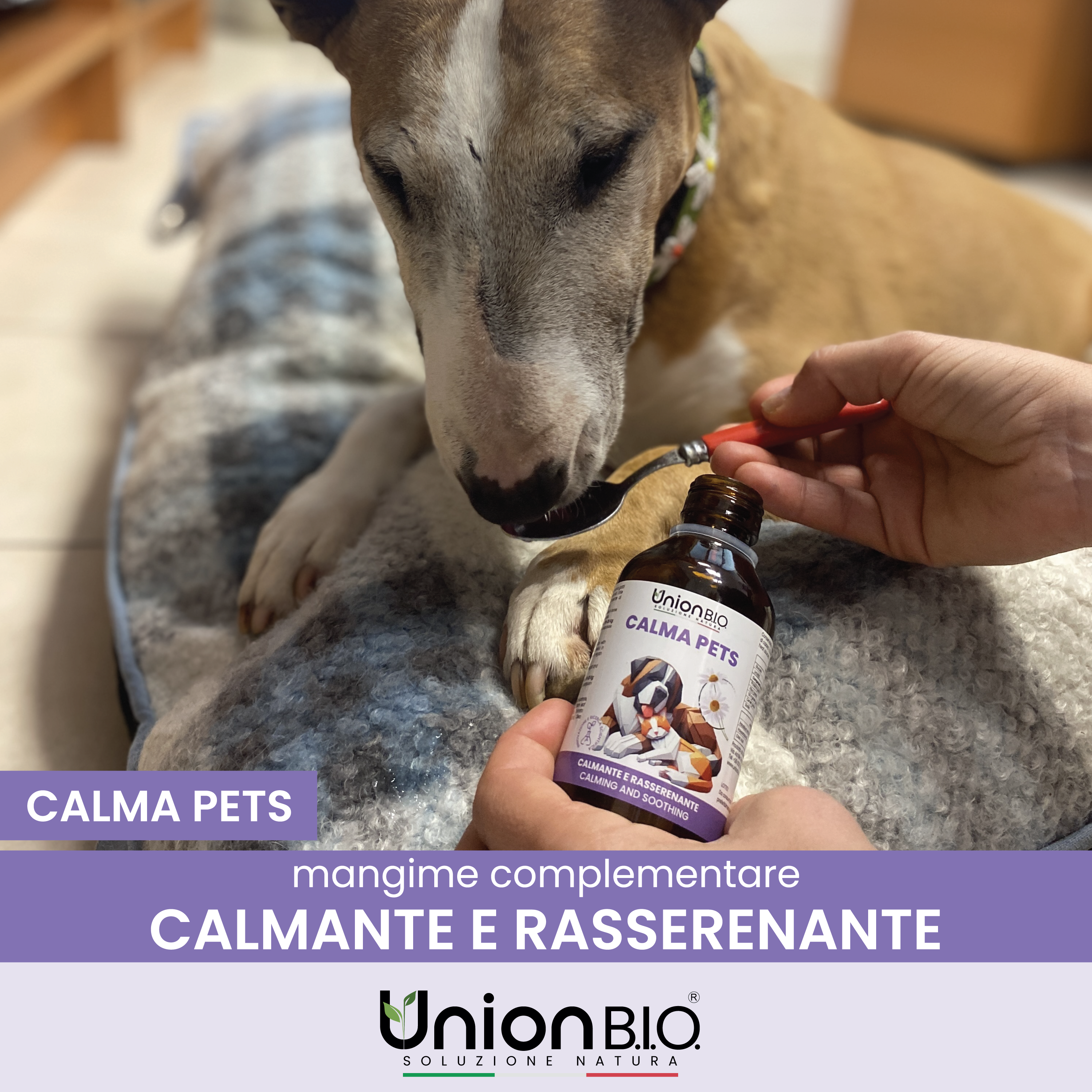 Calma Pets Union Bio – Calmante e Rasserenante Naturale per Cani e Gatti | Soluzione Liquida contro Stress, Paure e Ansia