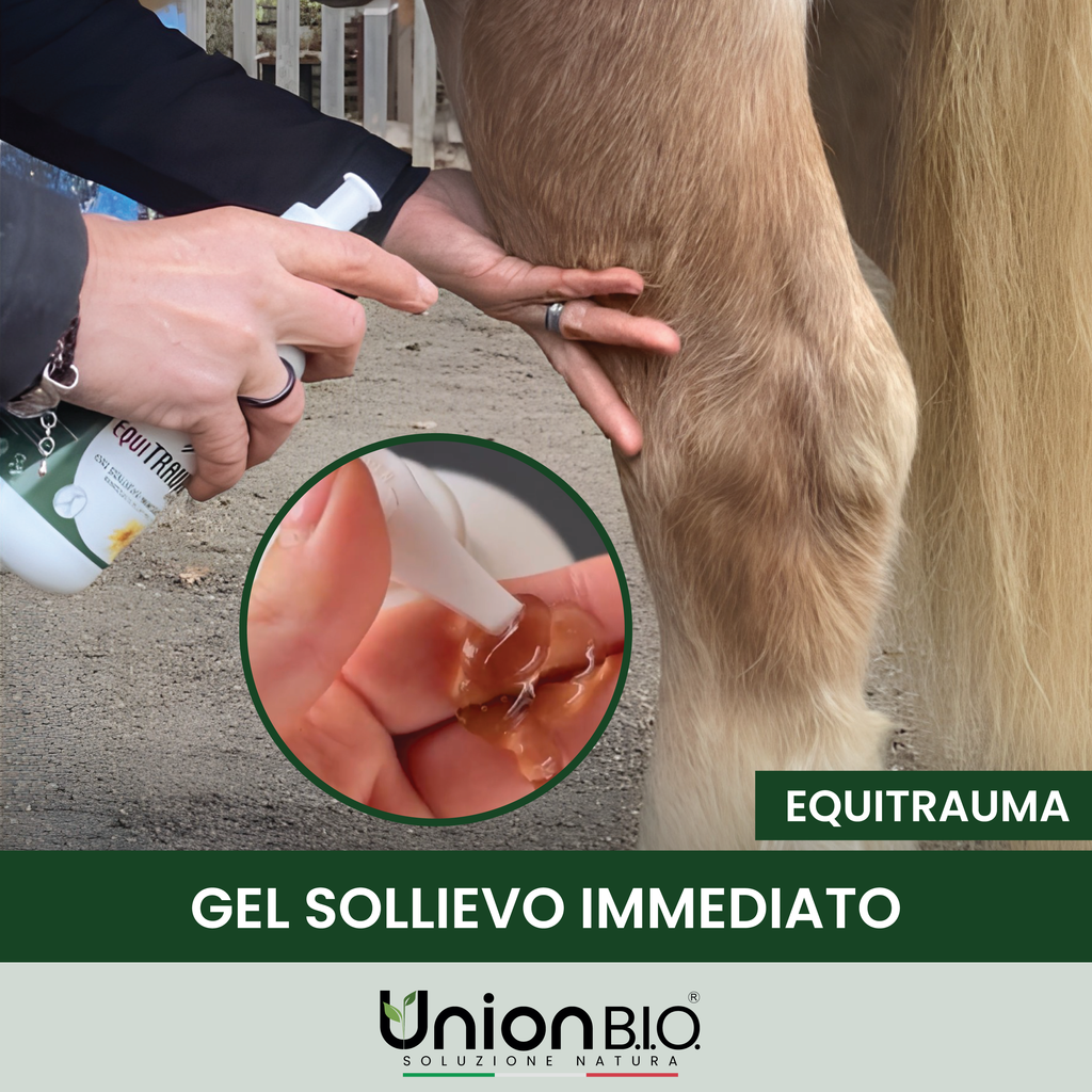 Equitrauma Gel Union Bio – Gel Naturale Urto per Traumi, Contusioni e Gonfiori del Cavallo | Disponibile da 250ml a 4 Litri