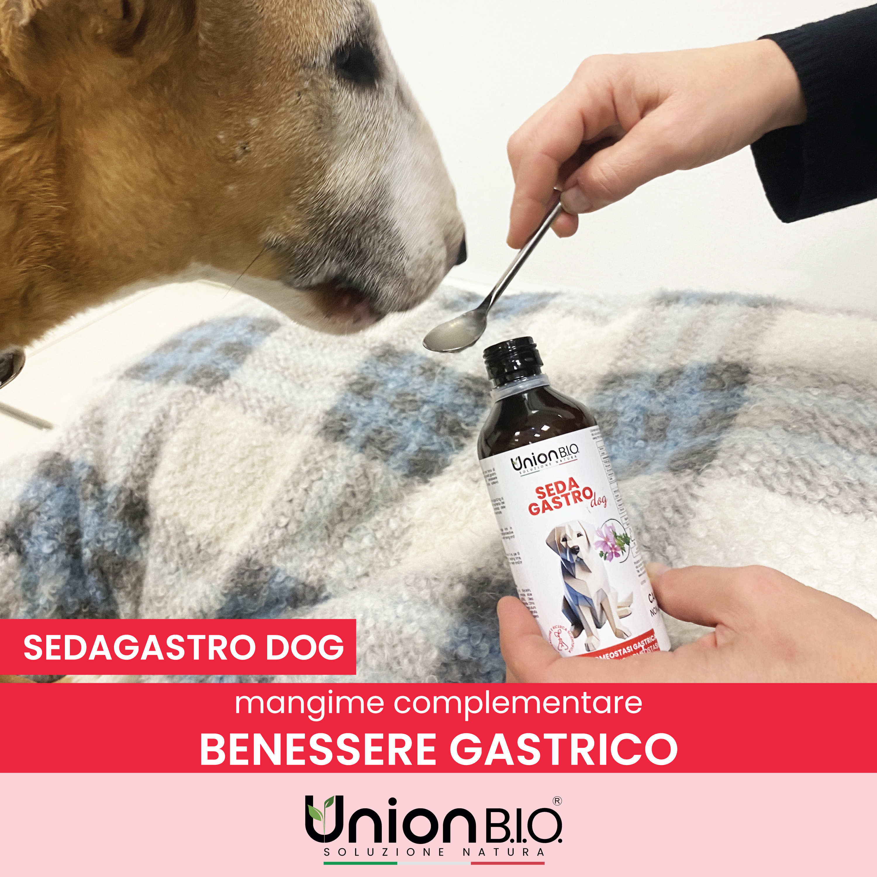 Sedagastro Union Bio – Protezione e Benessere Gastrico per Cani | Soluzione Naturale contro Gastrite, Reflusso e Acidità