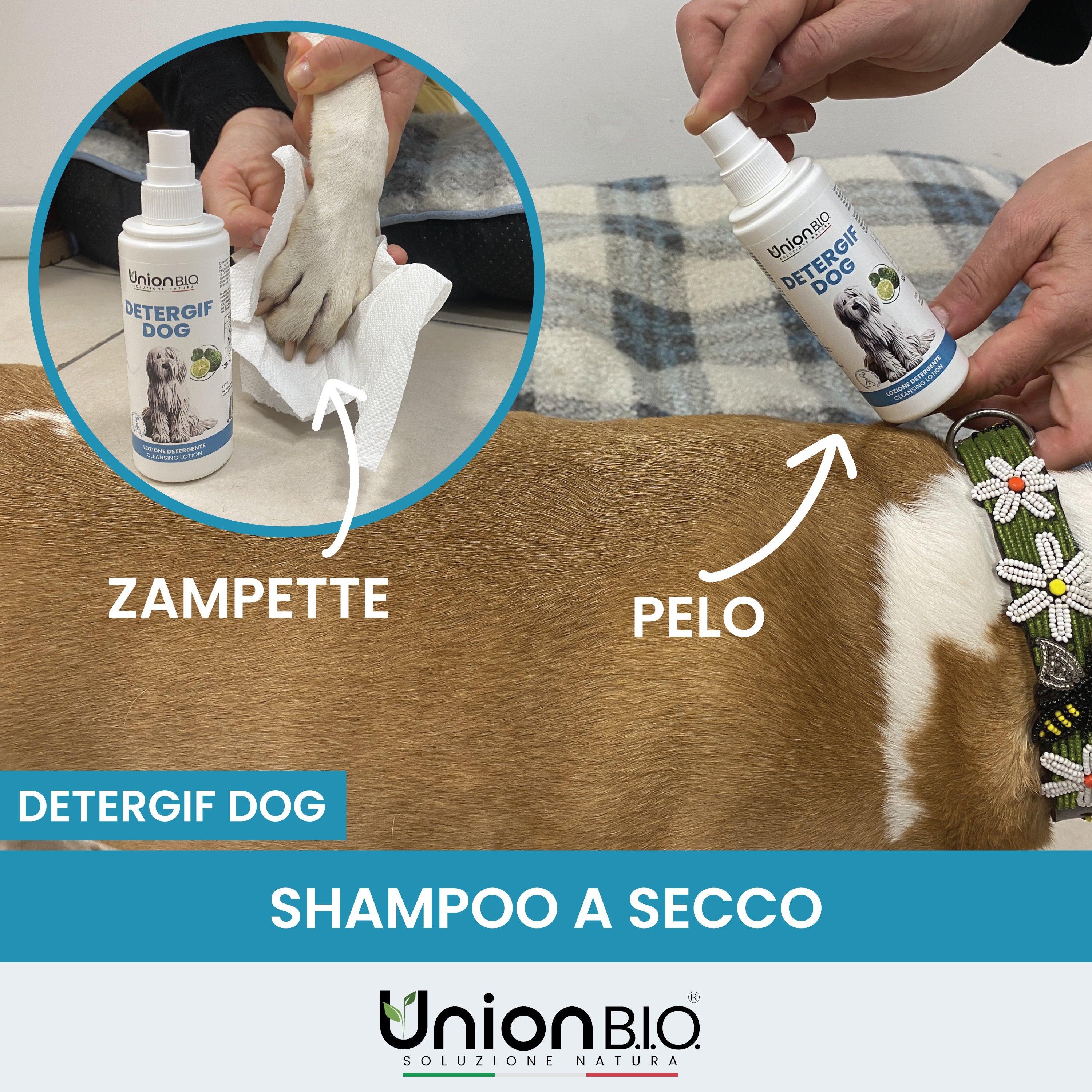 Detergif Dog Union Bio – Lozione Detergente Naturale Senza Risciacquo per Cani | Igienizzante e Anti-Odore con Estratti Vegetali