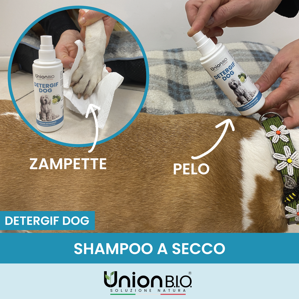 Detergif Dog Union Bio – Lozione Detergente Naturale Senza Risciacquo per Cani | Igienizzante e Anti-Odore con Estratti Vegetali