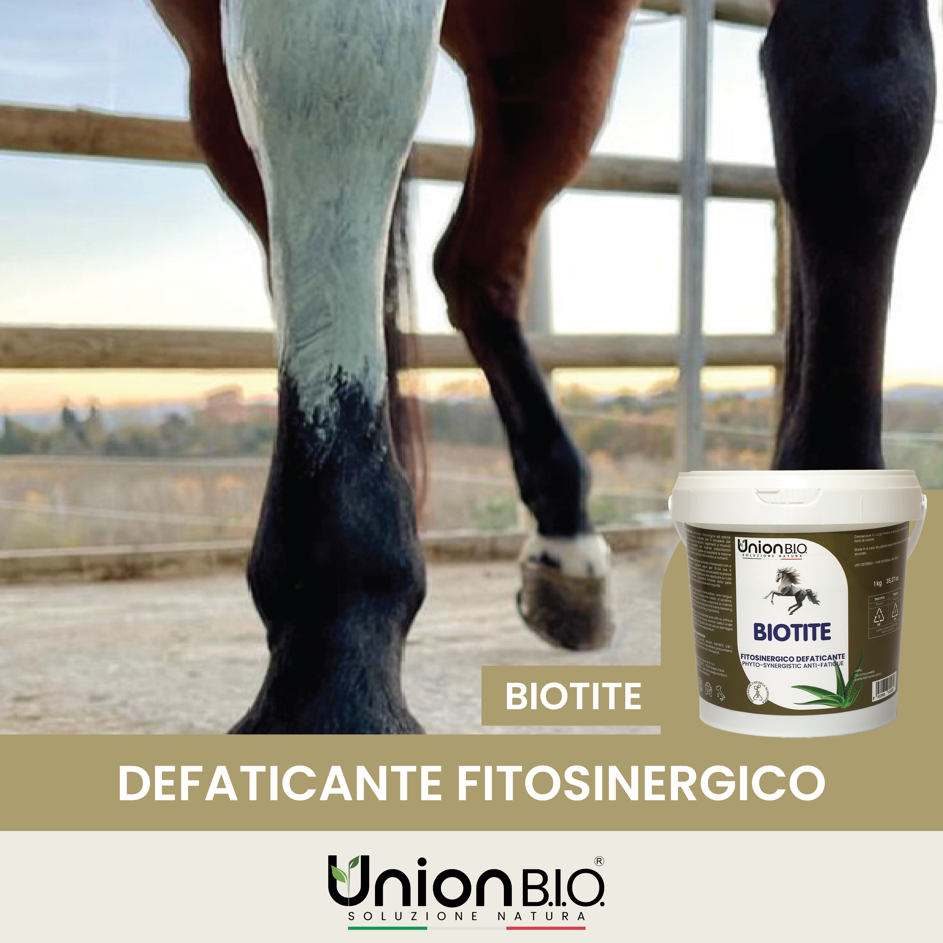 Biotite Union Bio – Trattamento Fitosinergico Antiflogistico e Calmante per Cavalli e Cani | Defatigante Intensivo per Muscoli e Tendini