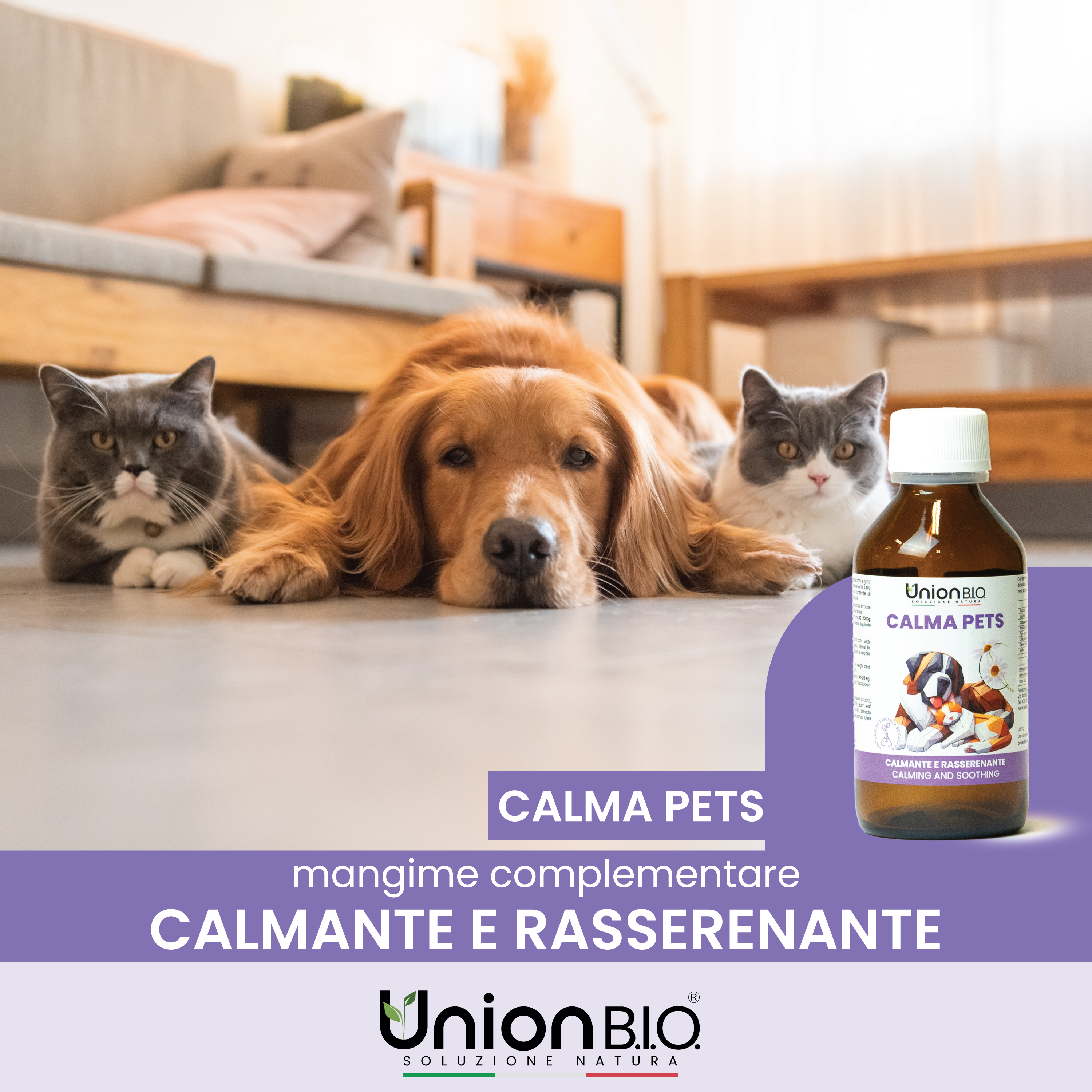 Calma Pets Union Bio – Calmante e Rasserenante Naturale per Cani e Gatti | Soluzione Liquida contro Stress, Paure e Ansia