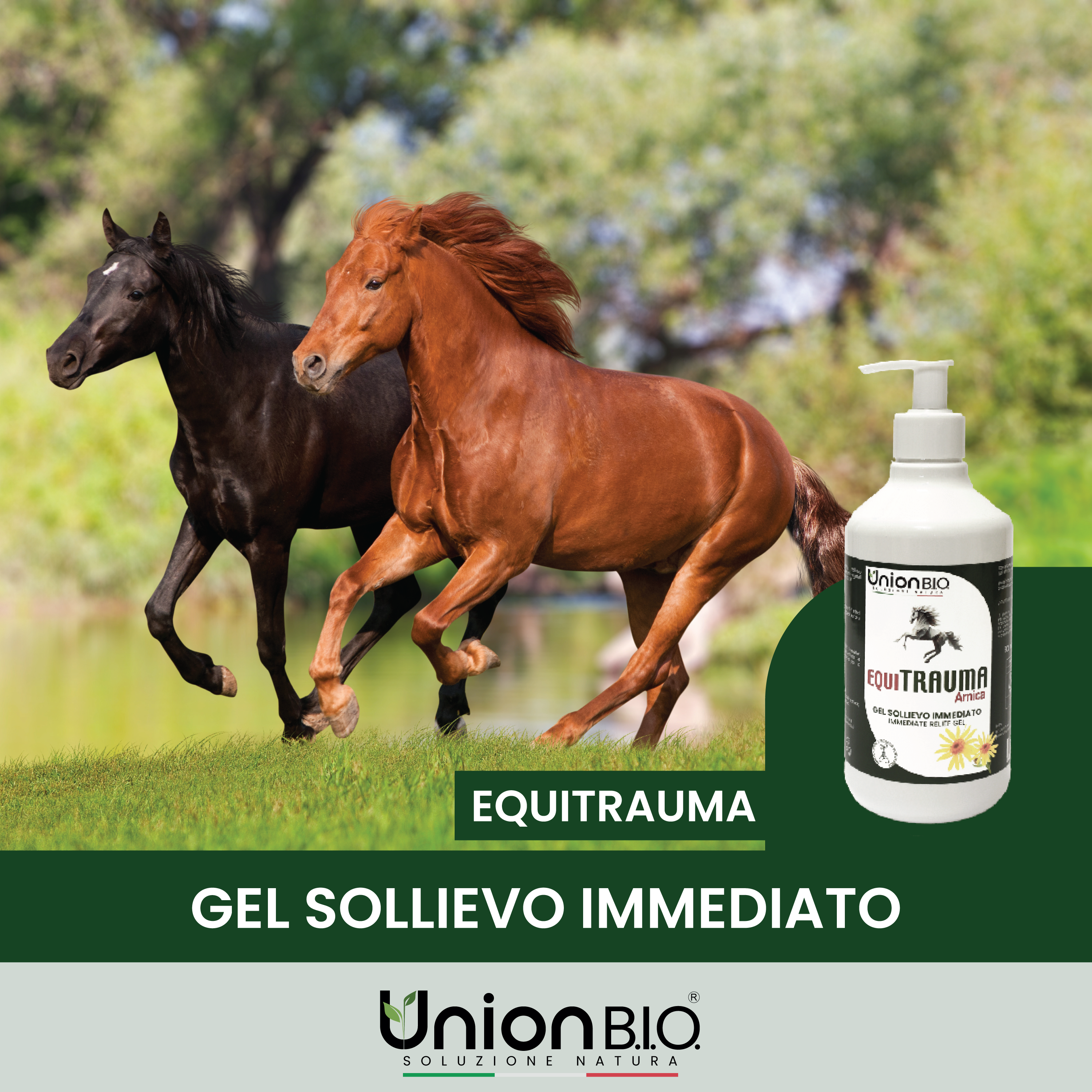 Equitrauma Gel Union Bio – Gel Naturale Urto per Traumi, Contusioni e Gonfiori del Cavallo | Disponibile da 250ml a 4 Litri