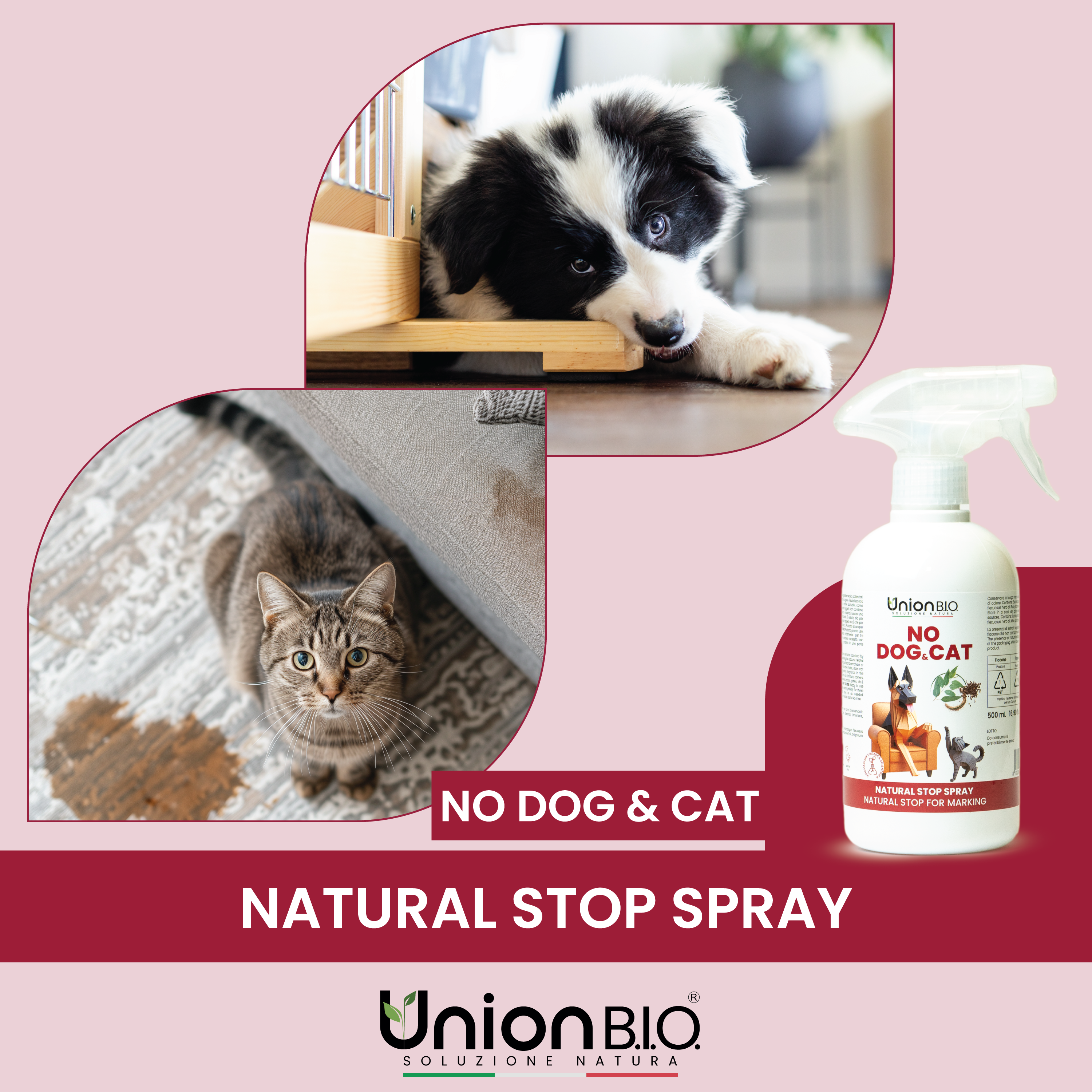 No Dog Cat Union Bio – Disabituante Naturale Educativo per Cani e Gatti | Spray Repellente per Interni ed Esterni