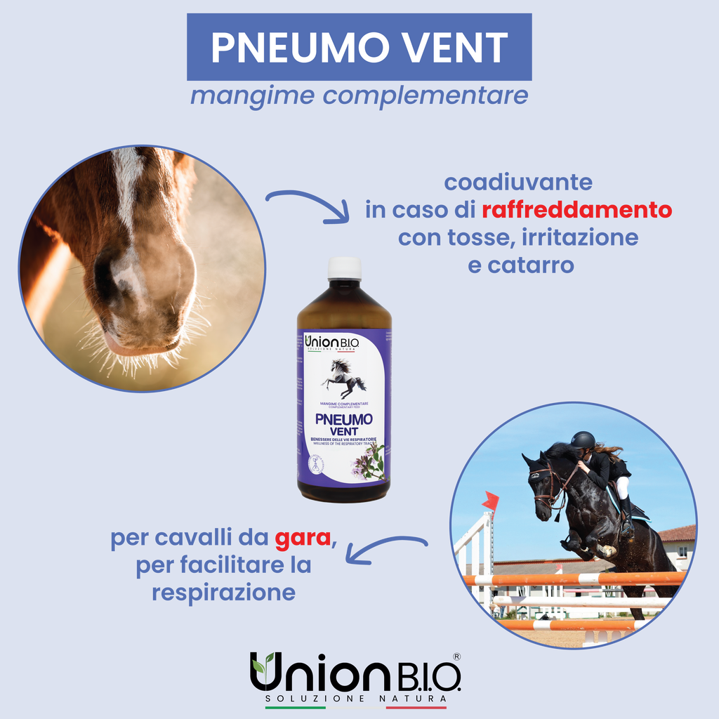 Pneumo Vent Union Bio – Soluzione Balsamica Naturale per le Vie Respiratorie del Cavallo | Fluidificante e Lenitivo con Eucalipto e Timo
