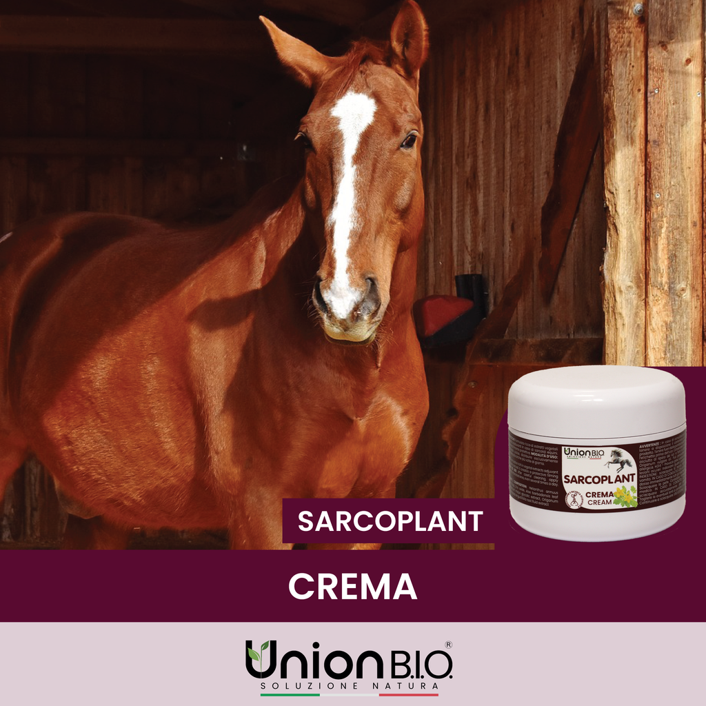 Sarcoplant Crema Union Bio – Trattamento Naturale Rigenerante e Normalizzante Cutaneo per Cavalli e Piccoli Animali