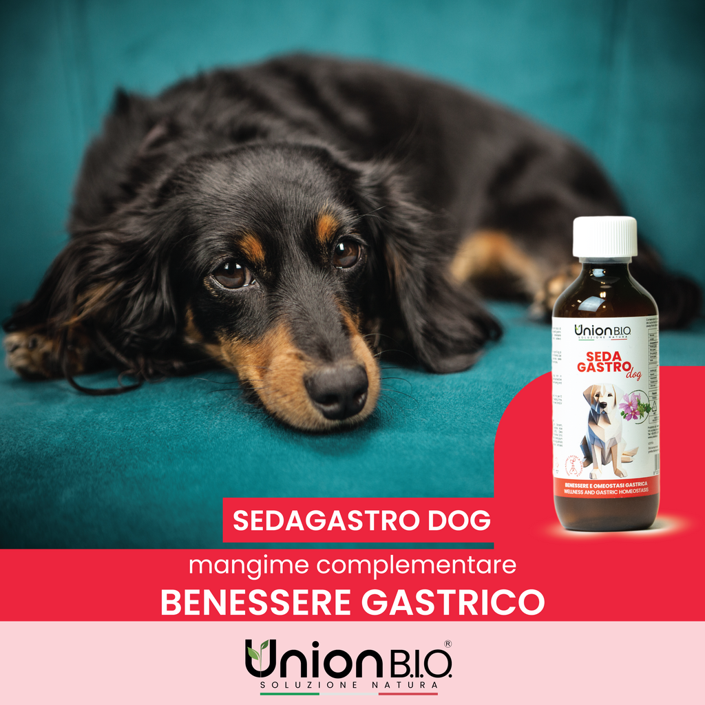 Sedagastro Union Bio – Protezione e Benessere Gastrico per Cani | Soluzione Naturale contro Gastrite, Reflusso e Acidità