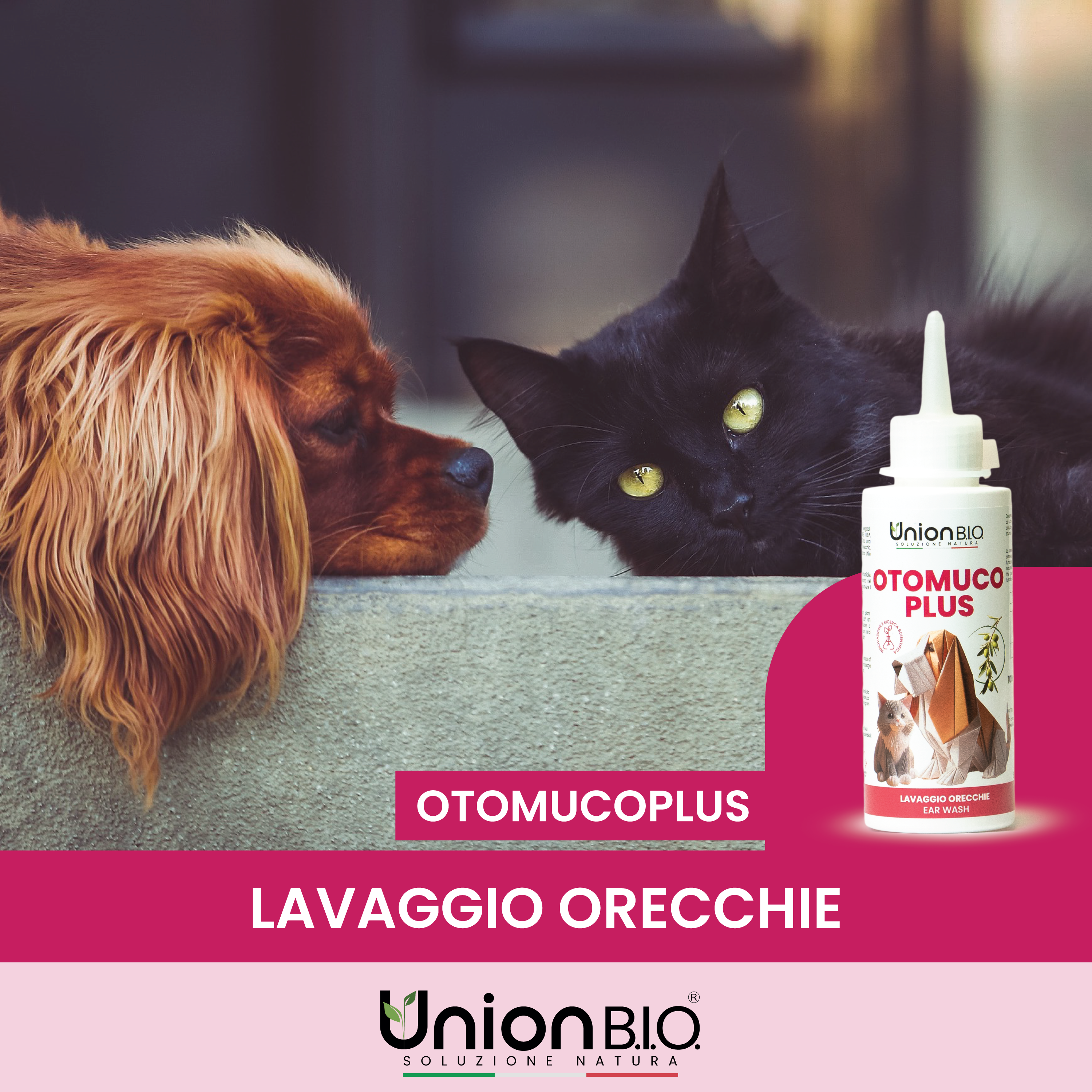 Otomucoplus Union Bio – Soluzione Auricolare Naturale per Cani e Gatti | Pulitore Orecchie Lenitivo e Ceruminolitico