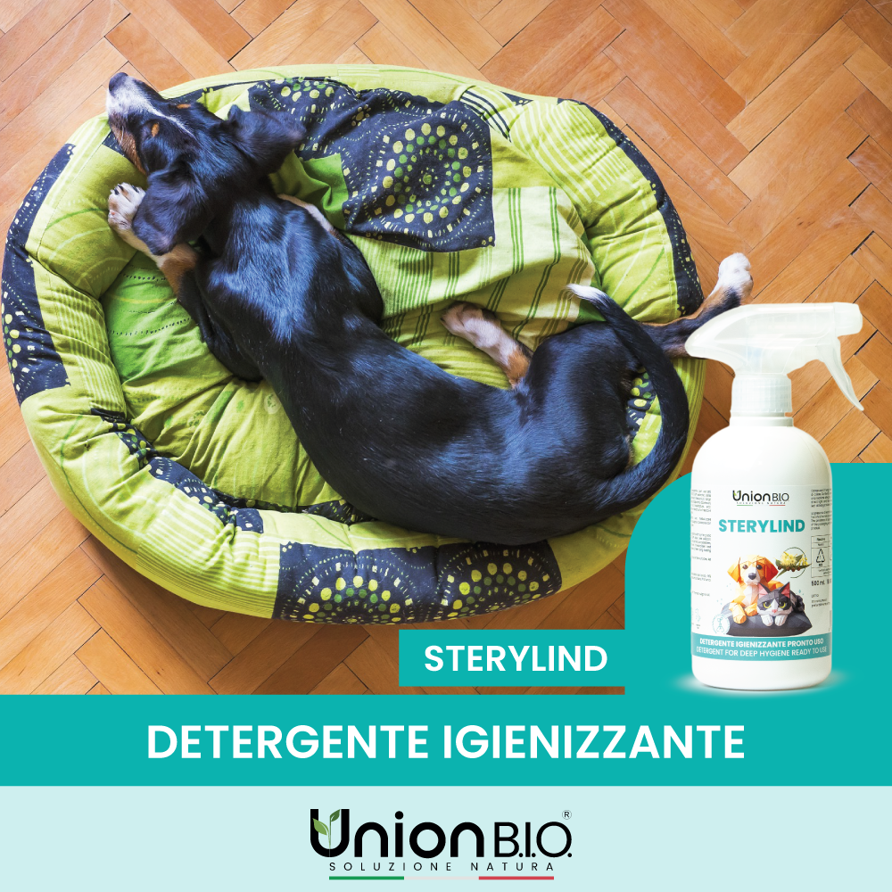 Sterylind Union Bio – Igienizzante Deodorante Naturale per Ambienti e Superfici | Spray Elimina Odori per Cucce, Lettiere e Trasportini