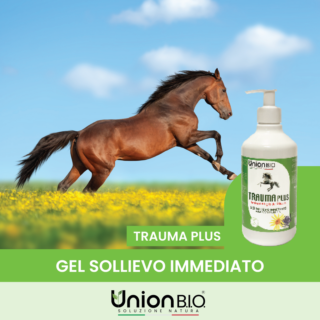 TraumaPlus Gel Union Bio – Gel Naturale ad Alta Concentrazione per Muscoli e Articolazioni (Cavalli e Cani) | Con Arnica e Artiglio del Diavolo