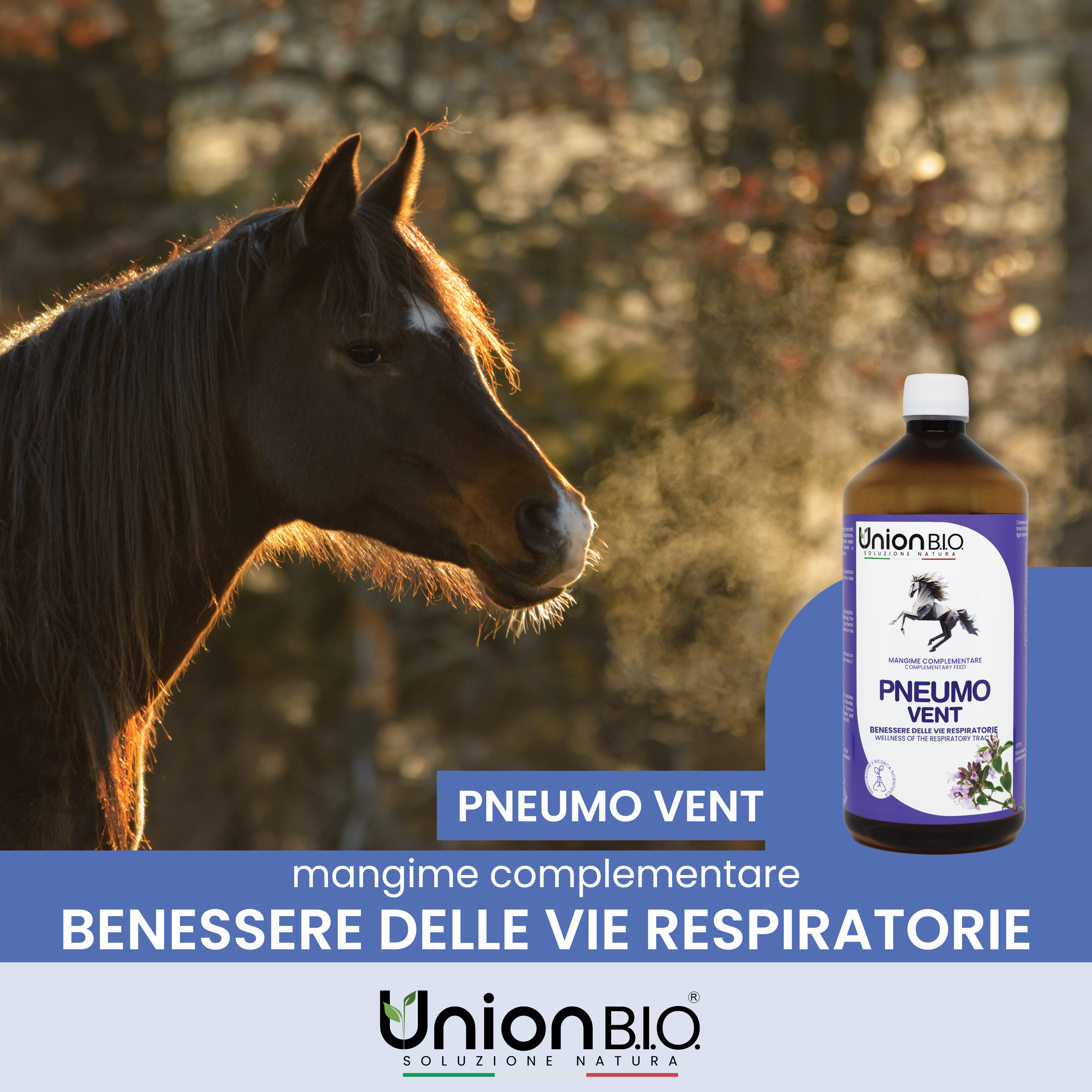 Pneumo Vent Union Bio – Soluzione Balsamica Naturale per le Vie Respiratorie del Cavallo | Fluidificante e Lenitivo con Eucalipto e Timo
